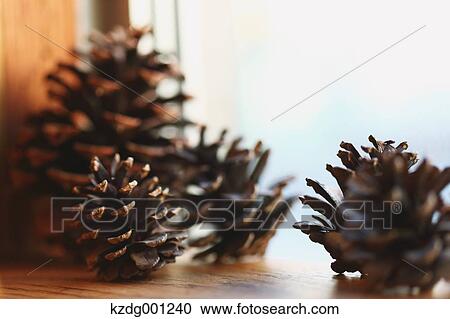 Pine Cones View Large Photo Image Stock Image - Pine Cones. Fotosearch