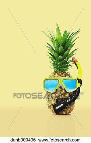 Pineapple with swimming goggles View Large Photo Image Stock Photograph - Pineapple with swimming goggles. Fotosearch