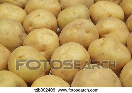 Stock Photo - Potatoes. Fotosearch