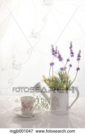 Potted flowers and cup View Large Photo Image Stock Photo - Potted flowers and cup. Fotosearch