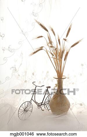 Potted flowers and vintage bike View Large Photo Image Stock Photograph - Potted flowers and vintage bike. Fotosearch