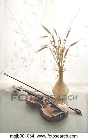Potted flowers and violin View Large Photo Image Picture - Potted flowers and violin. Fotosearch