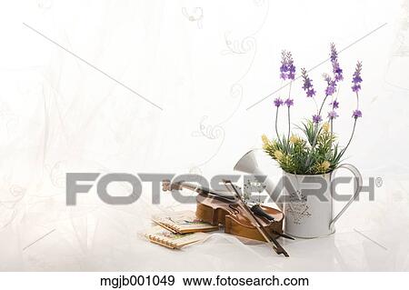 Stock Photo - Potted flowers and violin. Fotosearch