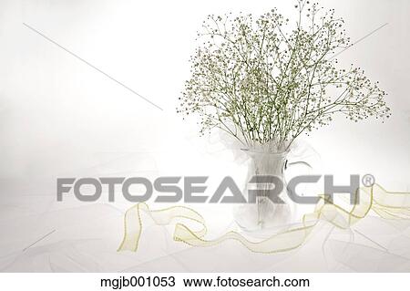 Potted flowers View Large Photo Image Stock Image - Potted flowers. Fotosearch
