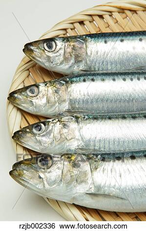 Stock Photograph - Raw Sardines. Fotosearch