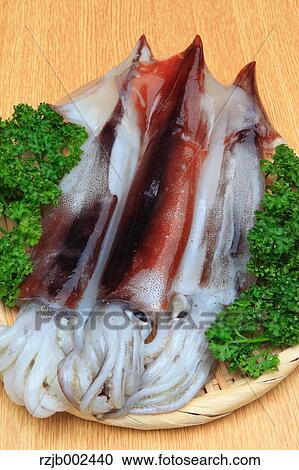 Stock Image - Raw squid. Fotosearch