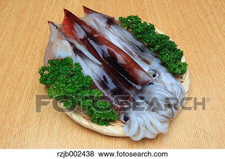 Raw squid View Large Photo Image Stock Photo - Raw squid. Fotosearch
