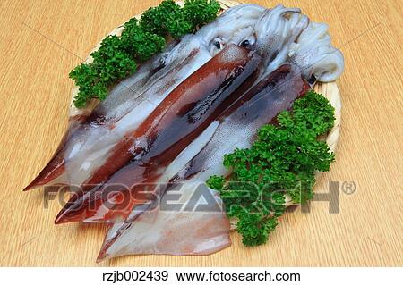 Stock Photo - Raw squid. Fotosearch