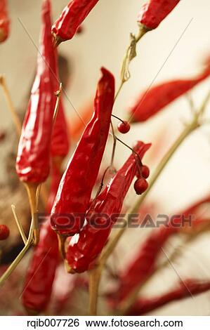 Stock Photograph - Red Peppers. Fotosearch