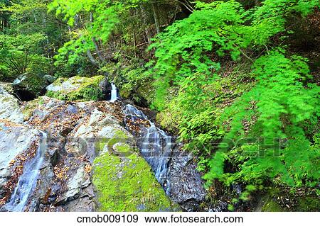 Saitama Prefecture, Japan View Large Photo Image Stock Photo - Saitama Prefecture, Japan. Fotosearch