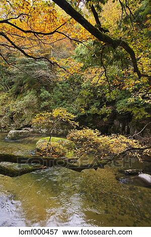 Shimane Prefecture, Japan View Large Photo Image Stock Photo - Shimane Prefecture, Japan. Fotosearch