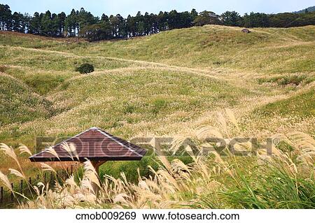 Shizuoka Prefecture, Japan View Large Photo Image Stock Photo - Shizuoka Prefecture, Japan. Fotosearch