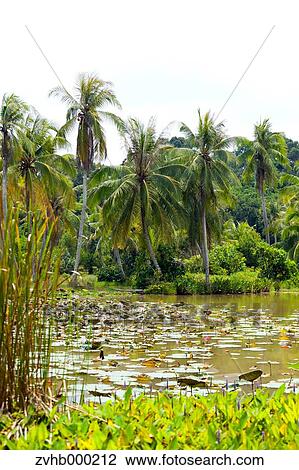 Stock Image - Singapore. Fotosearch