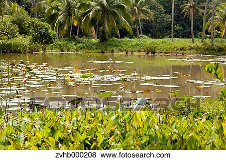 Stock Photo - Singapore. Fotosearch