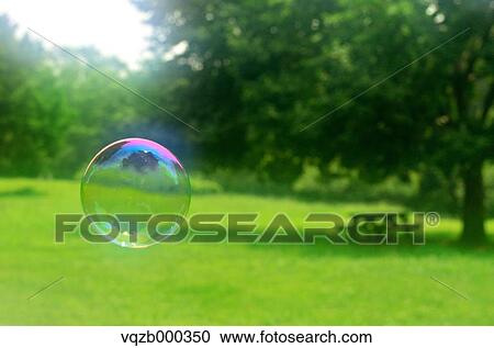 Soap Bubble In A Park View Large Photo Image Stock Image - Soap Bubble In A Park. Fotosearch