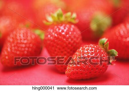 Strawberries View Large Photo Image Stock Image - Strawberries. Fotosearch