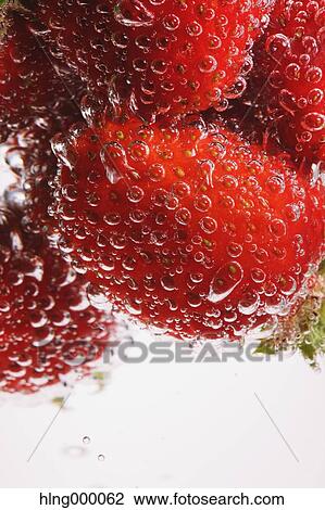 Strawberries View Large Photo Image Stock Image - Strawberries. Fotosearch