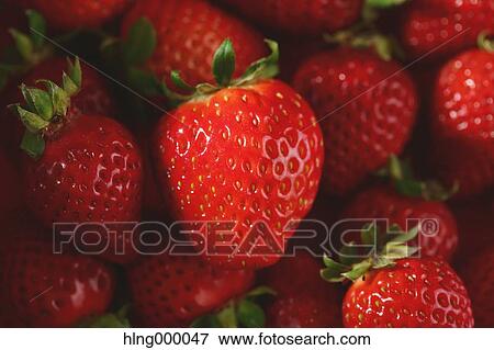 Strawberries View Large Photo Image Stock Photo - Strawberries. Fotosearch