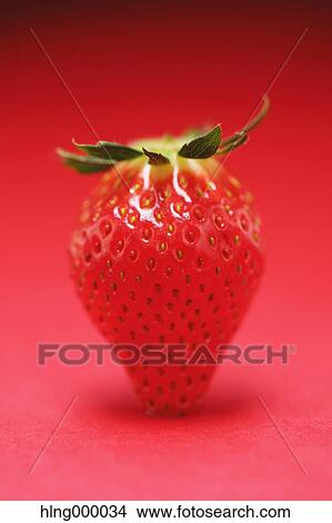 Picture - Strawberry. Fotosearch
