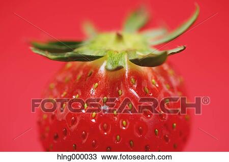 Strawberry View Large Photo Image Stock Image - Strawberry. Fotosearch