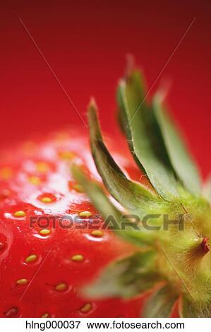 Stock Photo - Strawberry. Fotosearch