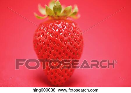 Strawberry View Large Photo Image Stock Photo - Strawberry. Fotosearch
