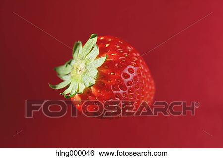 Strawberry View Large Photo Image Stock Photograph - Strawberry. Fotosearch