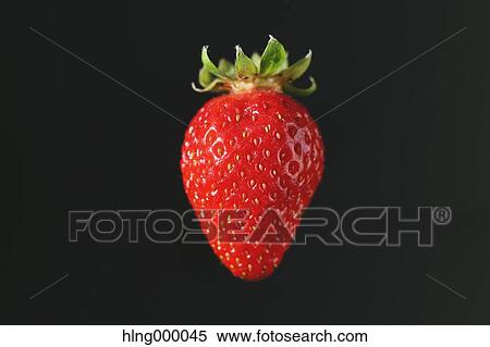 Strawberry View Large Photo Image Stock Photography - Strawberry. Fotosearch