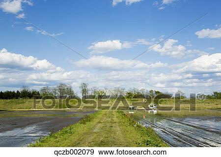 Tochigi Prefecture, Japan View Large Photo Image Stock Photo - Tochigi Prefecture, Japan. Fotosearch