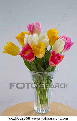 Tulips View Large Photo Image Stock Photo - Tulips. Fotosearch