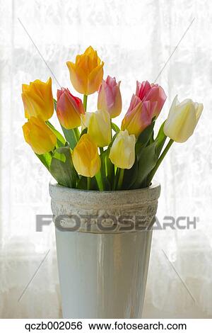 Tulips View Large Photo Image Stock Photograph - Tulips. Fotosearch
