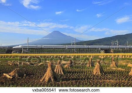 View Of Mount Fuji, Shizuoka Prefecture, Japan View Large Photo Image Stock Image - View Of Mount Fuji, Shizuoka Prefecture, Japan. Fotosearch