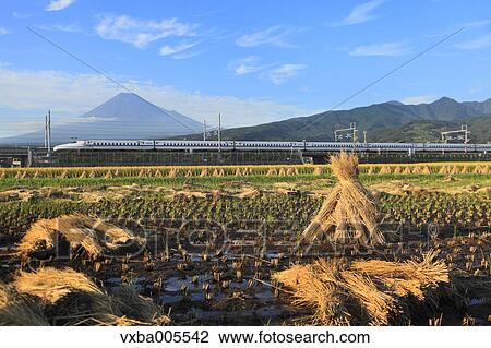 View Of Mount Fuji, Shizuoka Prefecture, Japan View Large Photo Image Stock Image - View Of Mount Fuji, Shizuoka Prefecture, Japan. Fotosearch