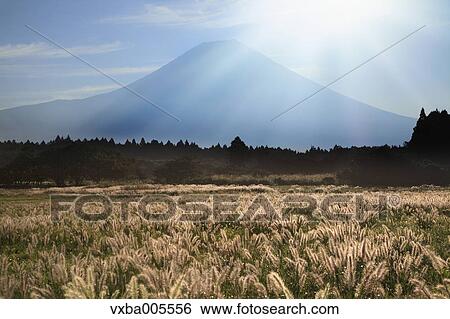 View Of Mount Fuji, Shizuoka Prefecture, Japan View Large Photo Image Stock Photograph - View Of Mount Fuji, Shizuoka Prefecture, Japan. Fotosearch