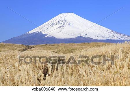 View of Mount Fuji View Large Photo Image Stock Image - View of Mount Fuji. Fotosearch