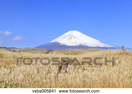 View of Mount Fuji View Large Photo Image Stock Image - View of Mount Fuji. Fotosearch