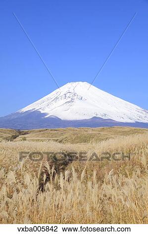Stock Image - View of Mount Fuji. Fotosearch