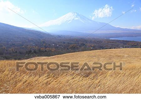 Stock Photo - View of Mount Fuji. Fotosearch