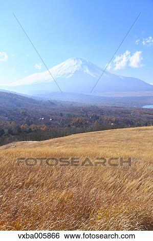 View of Mount Fuji View Large Photo Image Stock Photograph - View of Mount Fuji. Fotosearch