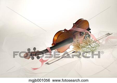 Violin View Large Photo Image Stock Photograph - Violin. Fotosearch