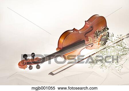 Violin View Large Photo Image Stock Photography - Violin. Fotosearch