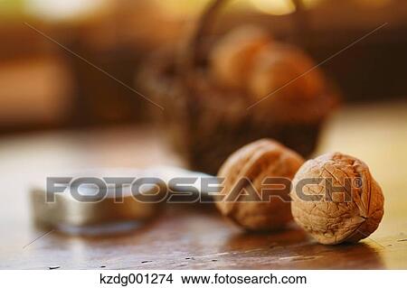 Walnuts View Large Photo Image Picture - Walnuts. Fotosearch