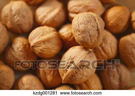 Stock Image - Walnuts. Fotosearch