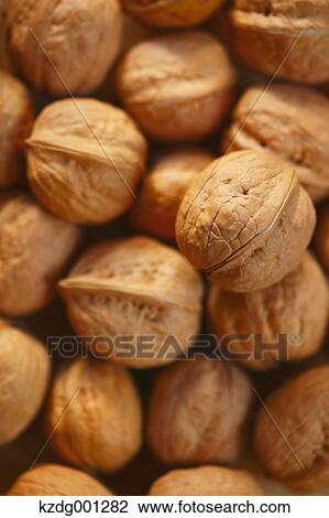 Stock Image - Walnuts. Fotosearch
