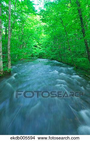 Picture - Water Stream. Fotosearch