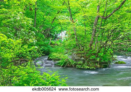Picture - Water Stream. Fotosearch