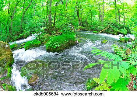 Picture - Water Stream. Fotosearch