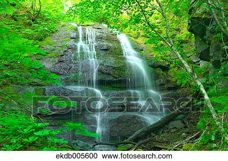 Water Stream View Large Photo Image Stock Image - Water Stream. Fotosearch
