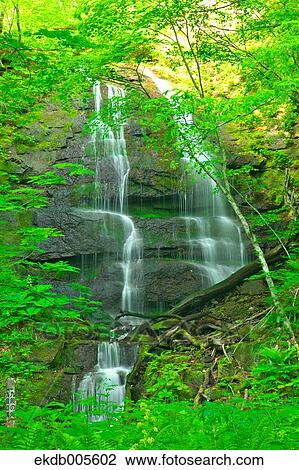 Water Stream View Large Photo Image Stock Image - Water Stream. Fotosearch