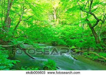 Water Stream View Large Photo Image Stock Image - Water Stream. Fotosearch